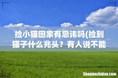 捡到猫子什么兆头？有人说不能捡路边的猫咪，在路边捡猫咪是不好的 捡小猫回家有忌讳吗