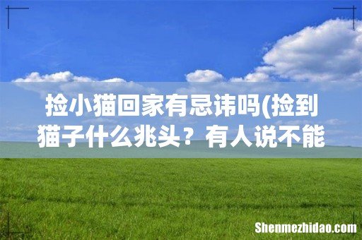 捡到猫子什么兆头?有人说不能捡路边的猫咪,在路边捡猫咪是不好的 捡小猫回家有忌讳吗