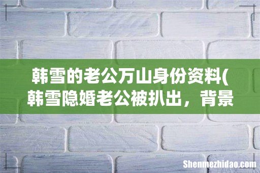 韩雪隐婚老公被扒出,背景实在太强大了,你们认识吗? 韩雪的老公万山身份资料