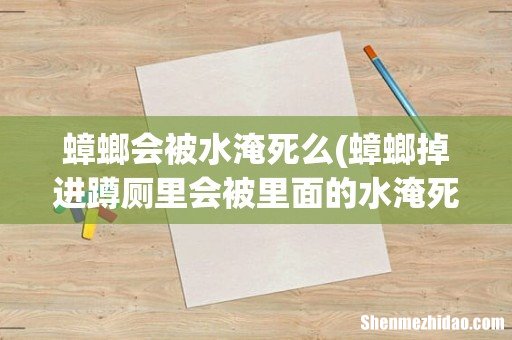 蟑螂掉进蹲厕里会被里面的水淹死么? 蟑螂会被水淹死么