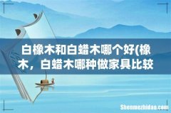 橡木，白蜡木哪种做家具比较好 白橡木和白蜡木哪个好