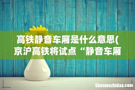 京沪高铁将试点“静音车厢”,如何区分静音与非静音人群? 高铁静音车厢是什么意思