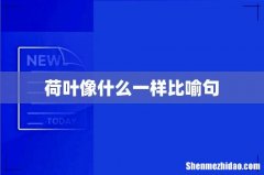 荷叶像什么一样比喻句