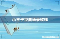 小王子经典语录玫瑰