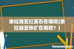 泰拉瑞亚铁矿在哪挖？ 泰拉瑞亚红宝石在哪挖