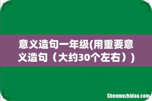 用重要意义造句 大约30个左右 意义造句一年级