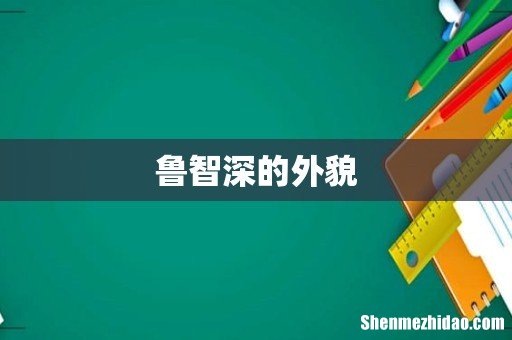 鲁智深的外貌