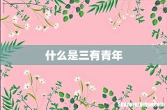 什么是三有青年