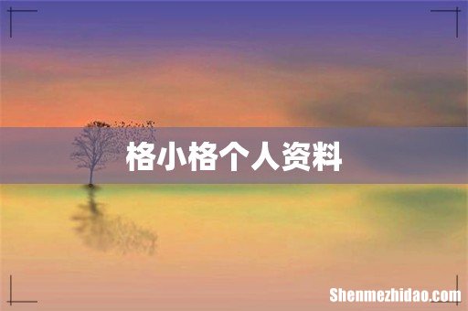 格小格个人资料