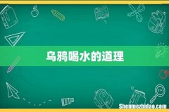 乌鸦喝水的道理
