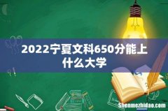 2022宁夏文科650分能上什么大学