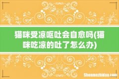 猫咪吃凉的吐了怎么办 猫咪受凉呕吐会自愈吗
