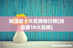 加湿器10大品牌 加湿器十大名牌排行榜