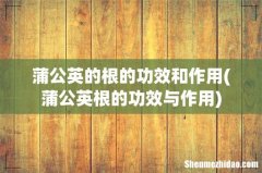蒲公英根的功效与作用 蒲公英的根的功效和作用