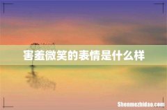 害羞微笑的表情是什么样