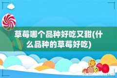 什么品种的草莓好吃 草莓哪个品种好吃又甜