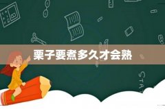 栗子要煮多久才会熟