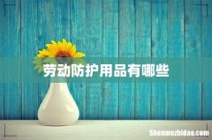 劳动防护用品有哪些