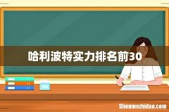 哈利波特实力排名前30