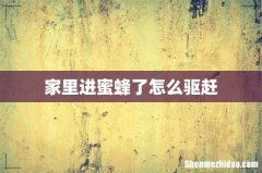 家里进蜜蜂了怎么驱赶