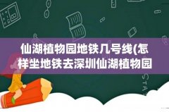 怎样坐地铁去深圳仙湖植物园？ 仙湖植物园地铁几号线