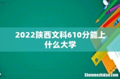 2022陕西文科610分能上什么大学