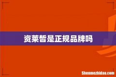 资莱皙是正规品牌吗