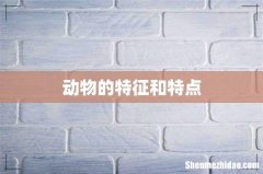动物的特征和特点