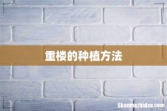 重楼的种植方法