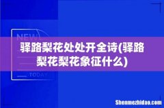 驿路梨花梨花象征什么 驿路梨花处处开全诗
