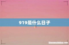 919是什么日子