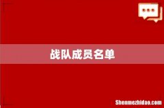战队成员名单