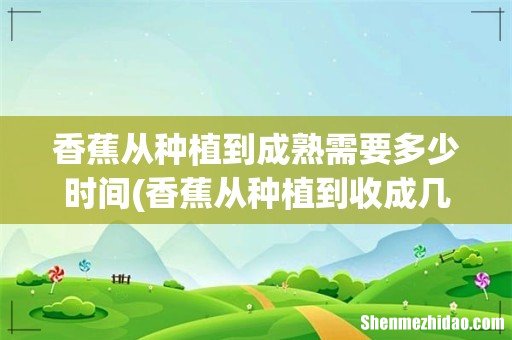 香蕉从种植到收成几个月 香蕉从种植到成熟需要多少时间