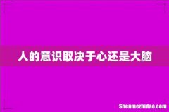 人的意识取决于心还是大脑