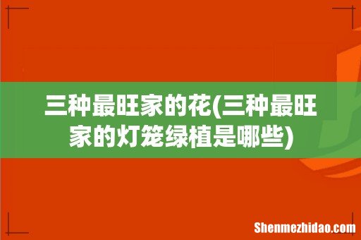 三种最旺家的灯笼绿植是哪些 三种最旺家的花