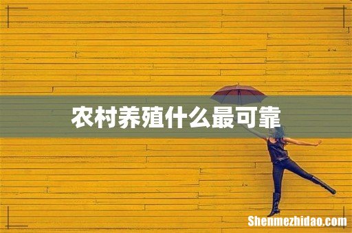农村养殖什么最可靠