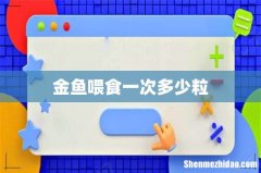 金鱼喂食一次多少粒