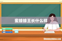 蜜蜂蜂王长什么样