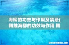 佩戴海柳的功效与作用 佩戴海柳的功效与作用介绍 海柳的功效与作用及禁忌