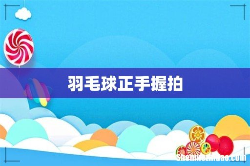 羽毛球正手握拍