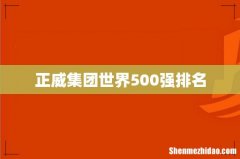 正威集团世界500强排名
