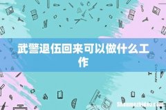 武警退伍回来可以做什么工作