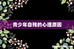青少年自残的心理原因