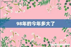 98年的今年多大了