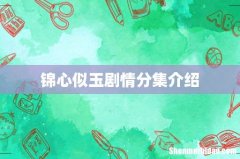 锦心似玉剧情分集介绍