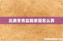 北美冬青盆栽家庭怎么养