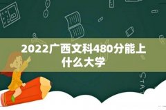2022广西文科480分能上什么大学