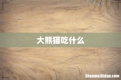 大熊猫吃什么