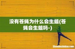 苍蝇会生蛆吗- 没有苍蝇为什么会生蛆