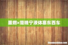 墨燃×楚晚宁液体塞东西车